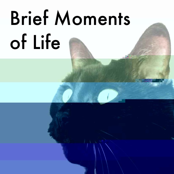 Brief Moments of Life Cover
